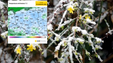 Fala chłodów nad Polską sprowadza przymrozki. To dopiero początek niskich temperatur