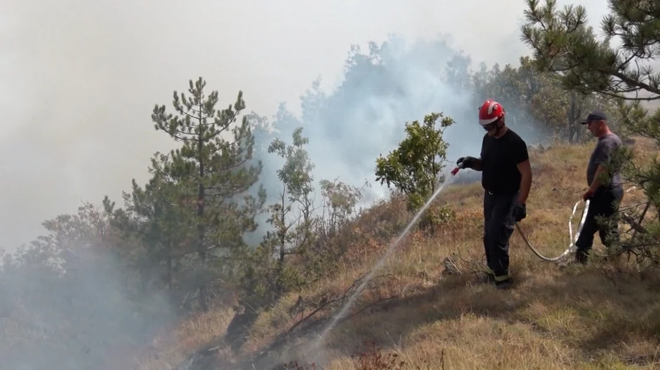 Vatrena stihija u kanjonu Uvca ne jenjava