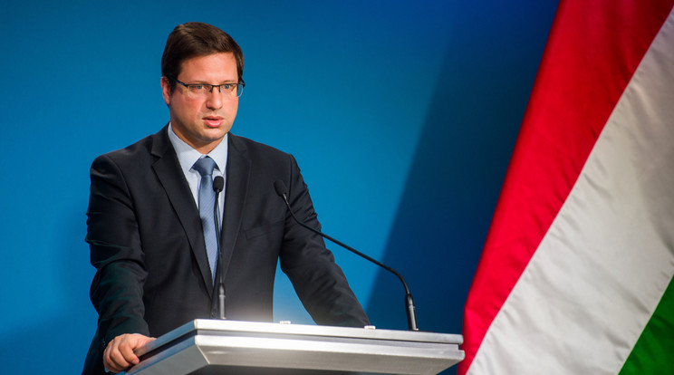 Gulyás Gergely, a Miniszterelnökséget vezető miniszter / Fotó: MTI/Balogh Zoltán