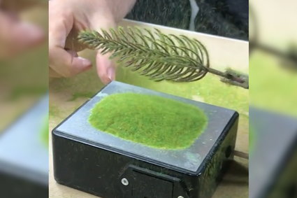 Te miniaturowe drzewka powstają przy użyciu elektryczności statycznej