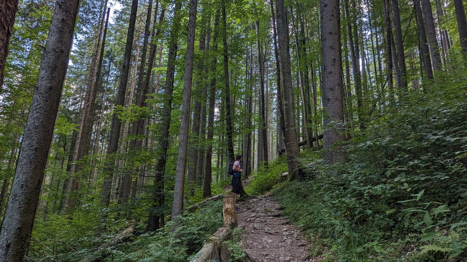 Dolina Juraniowa, Tatry Słowackie. Wejście na Umarłą Przełęcz.