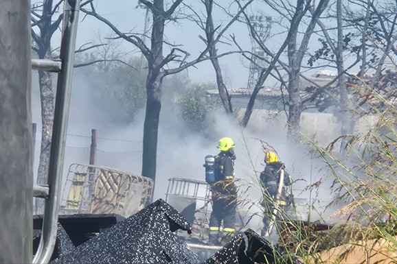 GORI ŠUMA KOD ZRENJANINA Širi se gust dim: Na terenu vatrogasci (VIDEO)