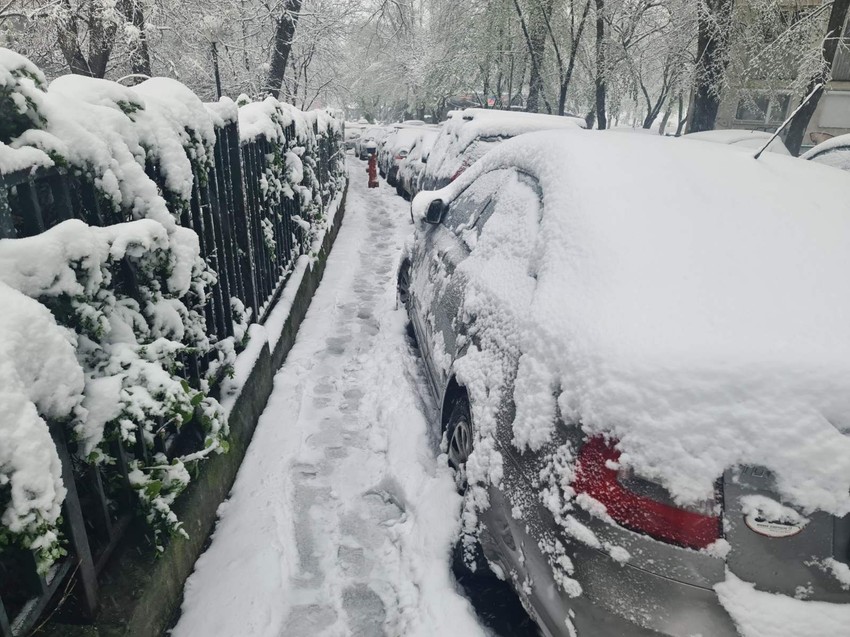 Čukarica okovana snegom