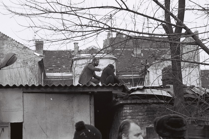 Vuk Bojović ubeđuje Samija da siđe sa krova i krene sa njim nazad u Zoo vrt