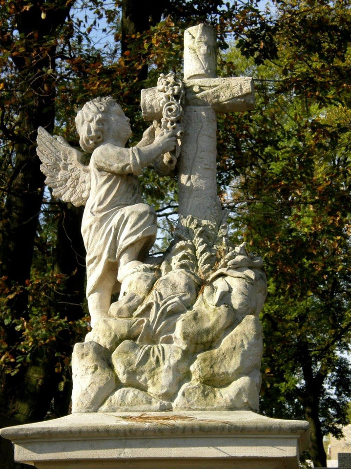 nel - Tarnów-Stary Cmentarz