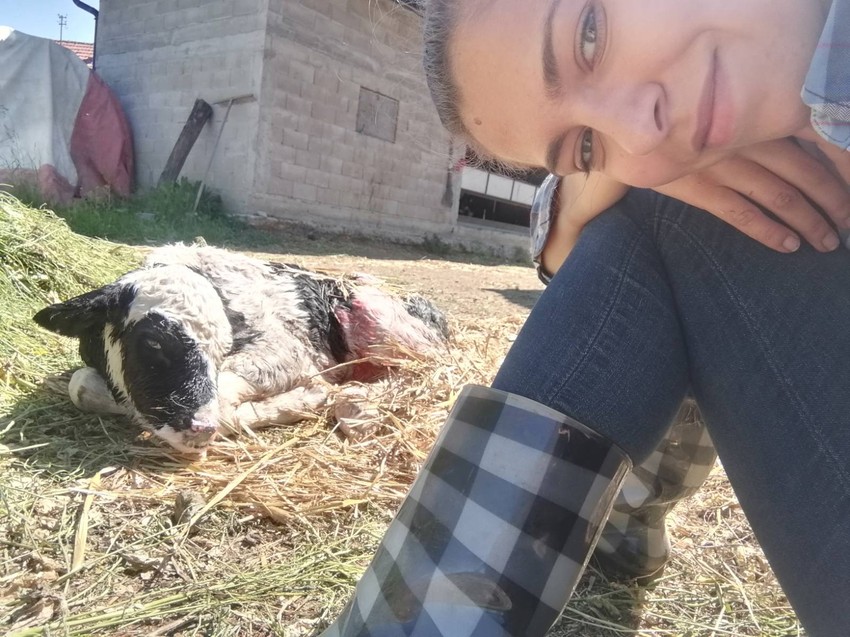 Ivana i dejan gligorijević