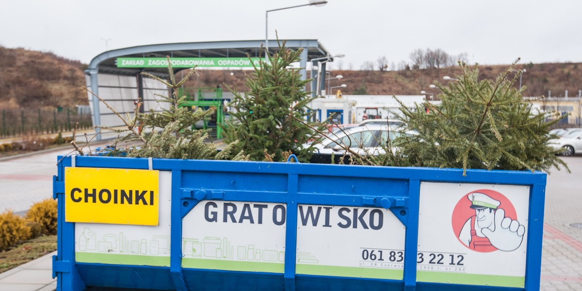 punkt zbierania starych choinek