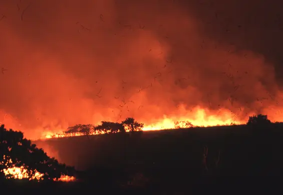 Nowy raport IPCC. Albo szybko zmienimy system, albo czeka nas więcej pożarów i powodzi