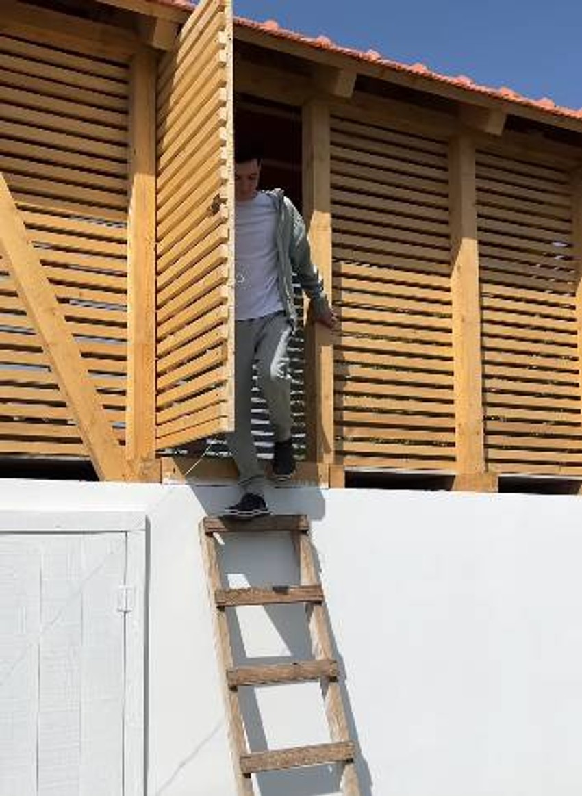 Branko Babić, objava