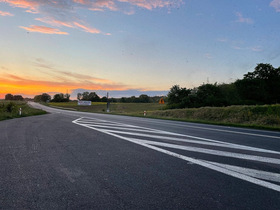 Rój owadów na wyspie Wolin
