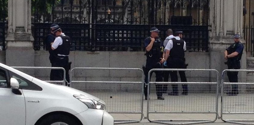 Akcja policji przed parlamentem w Londynie. Zatrzymano 30-latka