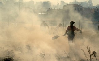 Pożar w Portugalii dotarł do kurortów. Spłonęło 10 tys. ha lasów i nieużytków
