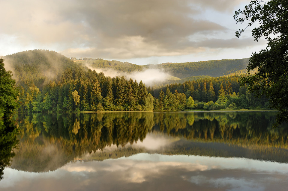 Niemcy - góry Harz