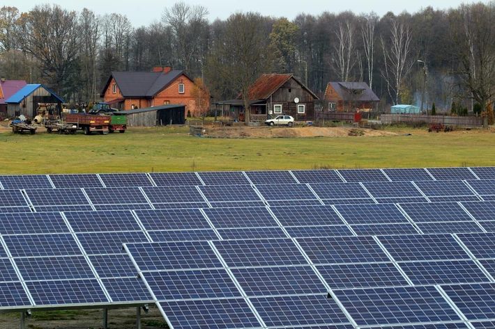 Farma w Wesołówku