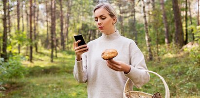 Aplikacje pomagają grzybiarzom. Z tym w smartfonie zdziałasz cuda w lesie