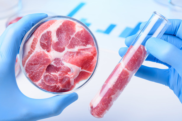 Rewolucja technologiczna na talerzu, czyli wszystko, co warto wiedzieć o czystym mięsie