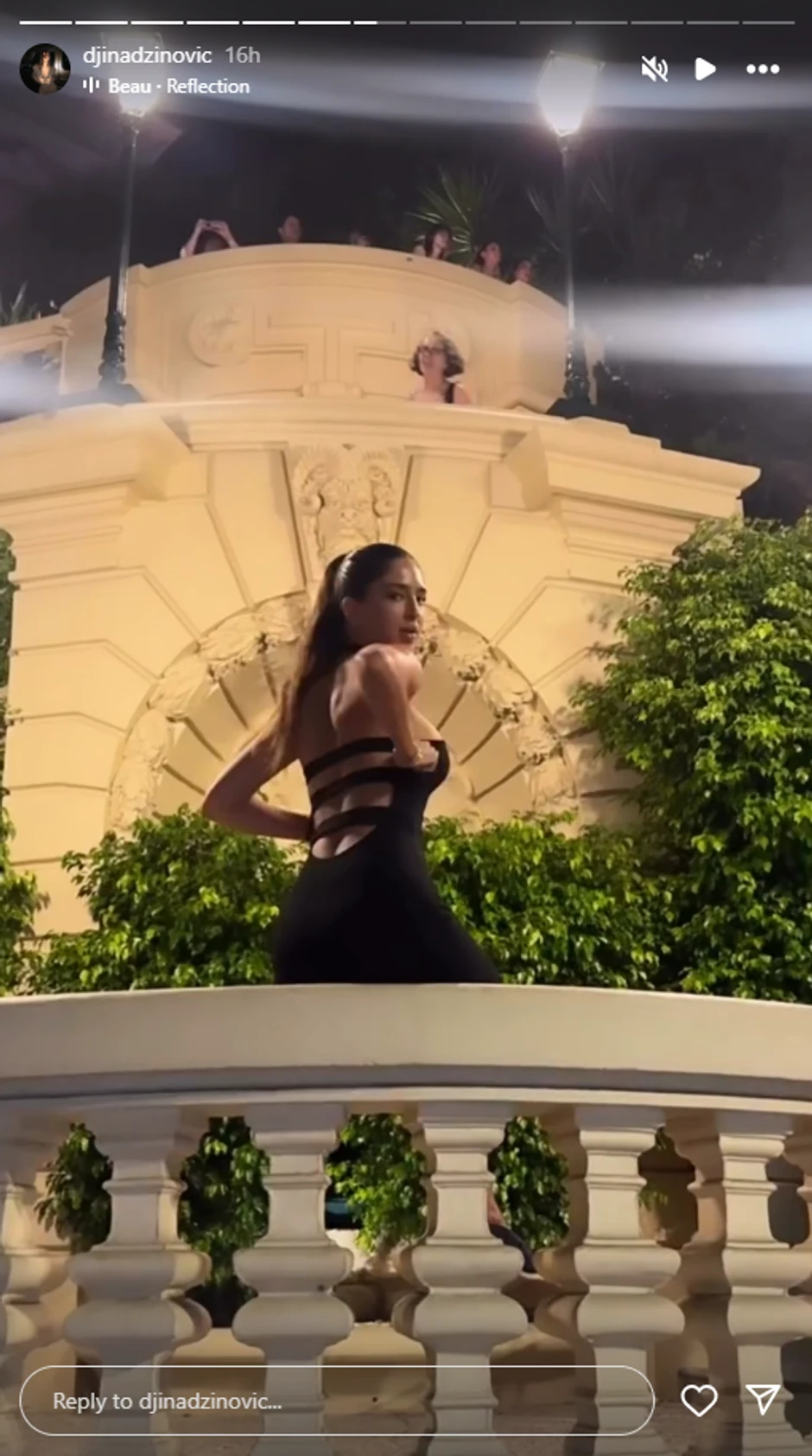 Đina Džinović, objava