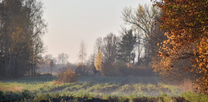 Słońce, deszcz, śnieg, porywisty wiatr. W weekend rządzą fronty atmosferyczne. Sprawdzamy prognozę dla regionów