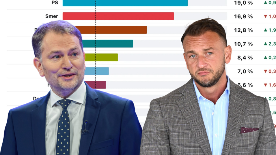 Prieskum Ipsos