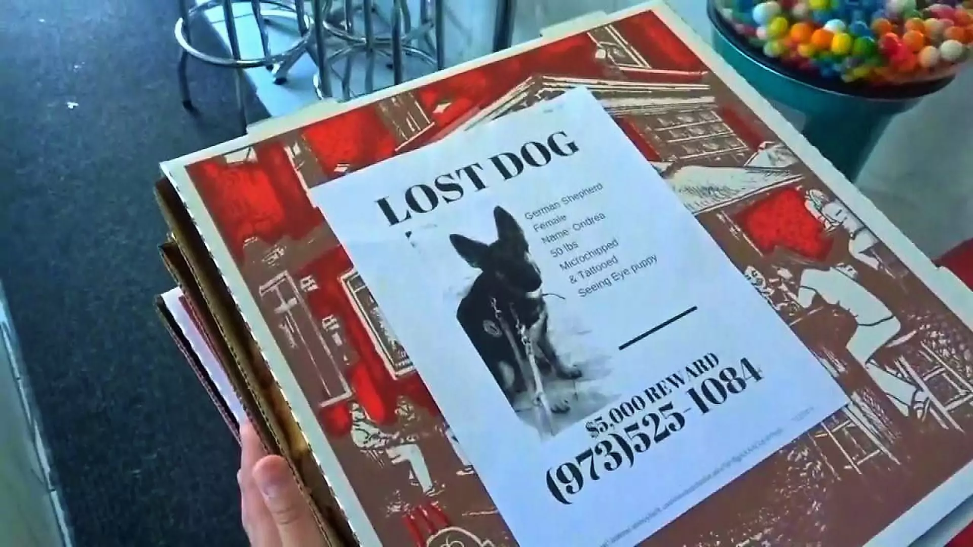 Zdjęcia zaginionych zwierząt na pudełkach po pizzy