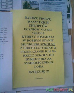 Polskie absurdy oczami internautów DZIENNIKA