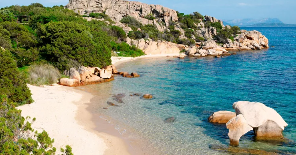 Beach where you can have naked wedding - Vimarsana News