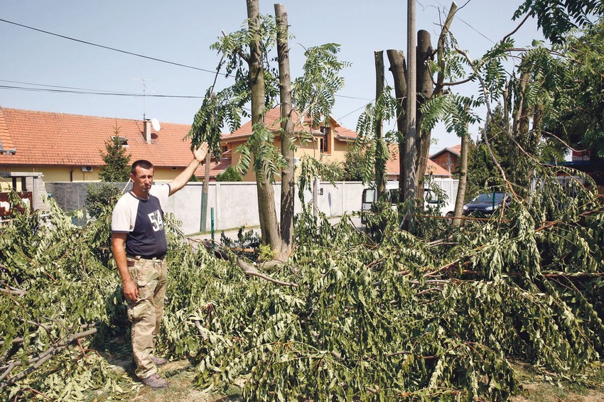 Za dobrošlicu: Ovo je zatekao kada je stigao