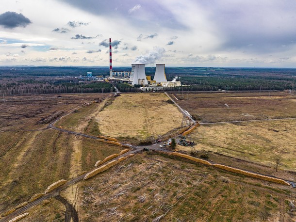 Wycinka drzew pod budowę fabryki Izery w Jaworznie, kwiecień 2023 r.