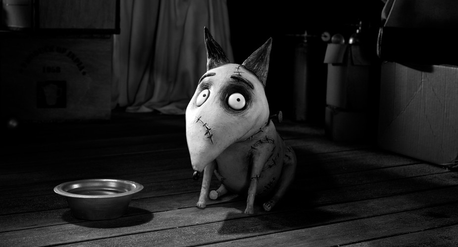 'Frankenweenie'