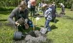 Posadzili dzieciom drzewo na pamiątkę