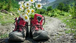 Sicher wandern: Die beliebtesten Bergschuhe für Herren im Vergleich