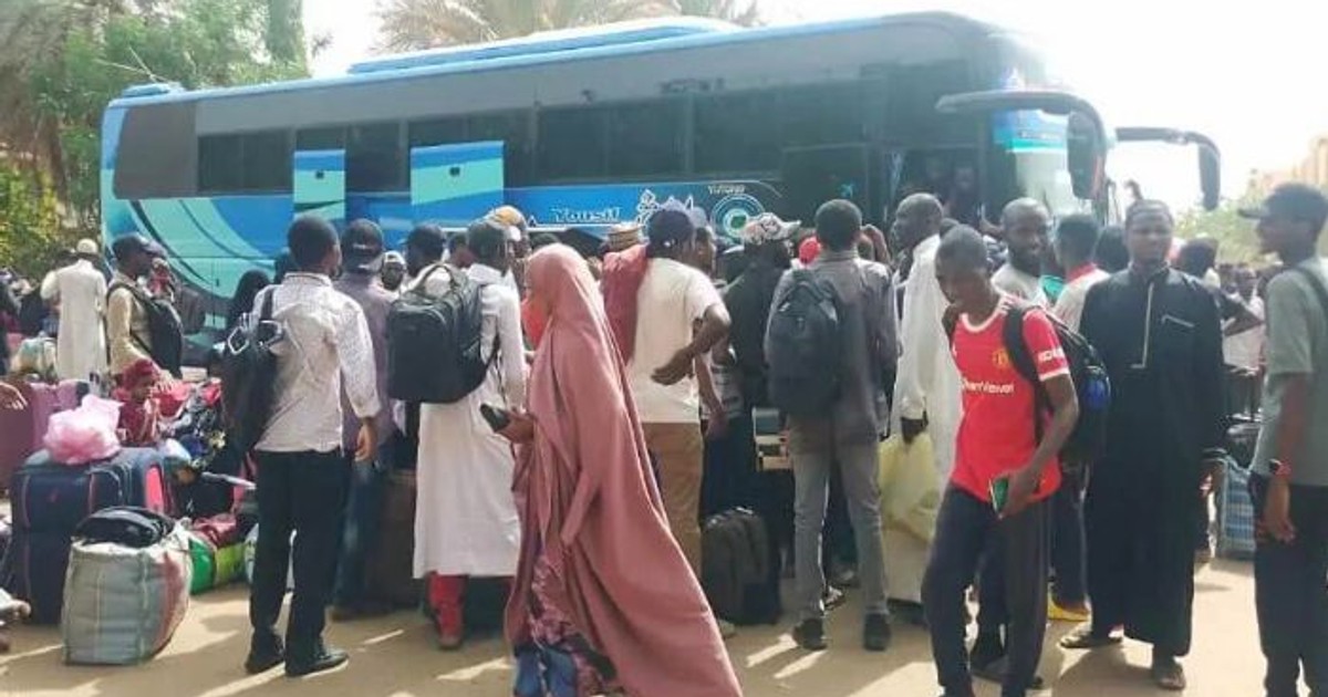 637 Nigerians evacuated from Sudan arrive Egypt - Vimarsana News