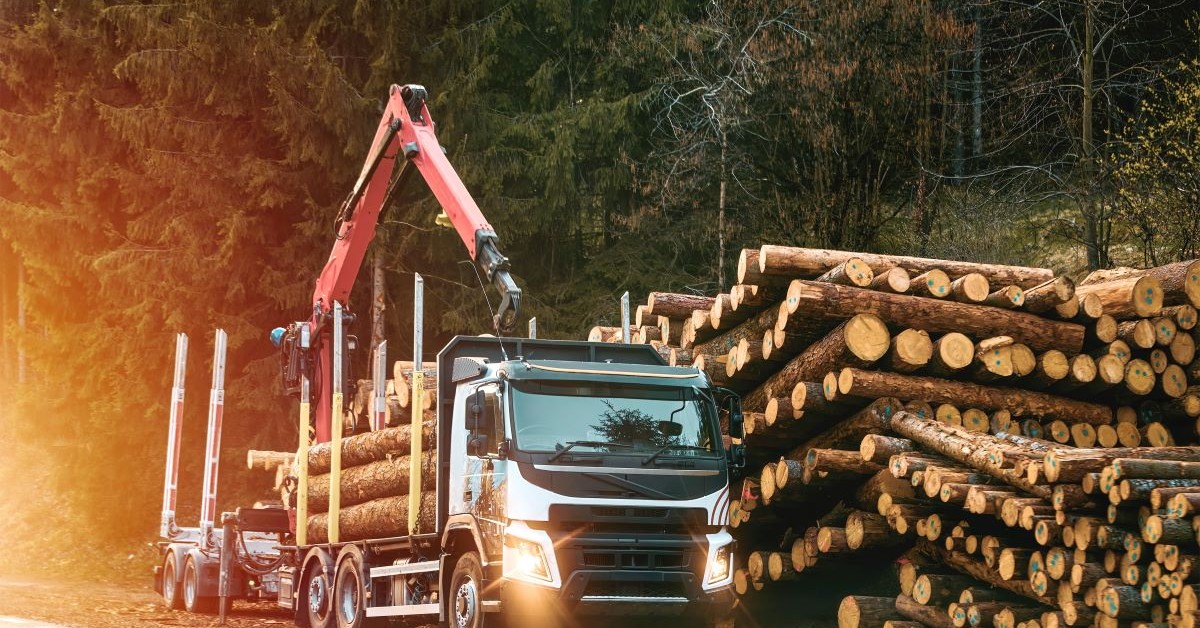 Zniszczone drogi lokalne przez wycinkę drzew. Kto zapłaci gminom? Ważna odpowiedź rządu