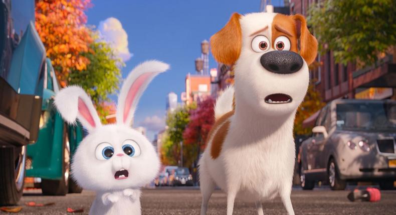 The Secret Life Of Pets