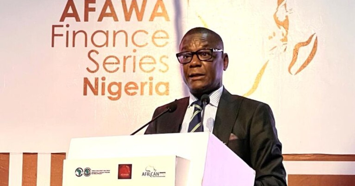 AfDB advises FG on how to diversify energy mix - Vimarsana News