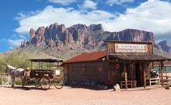 'Miasto duchów' na sprzedaż. 'W tygodniu dochodziło tu średnio do jednego morderstwa'