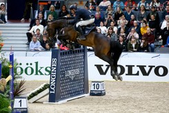 Wojciech Wojcianiec: Jeśli konie w Wigilię przemówią, to zapytają o igrzyska w Tokio