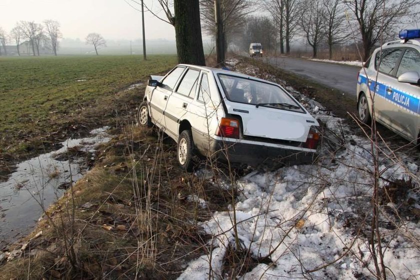 Polonez uderzył w drzewo