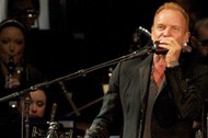 sting w poznaniu