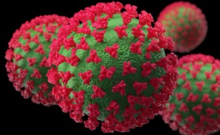 Rok 2022 w ochronie zdrowia: Zmiany przepisów epidemicznych dotyczących COVID-19, wparcie medyczne dla osób z Ukrainy, pierwszy przypadek małpiej ospy