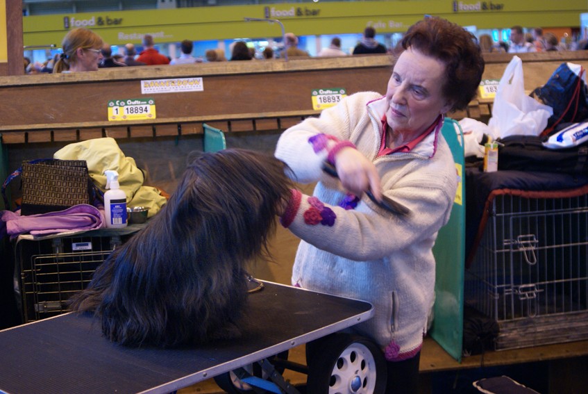 CRUFTS psy i ich właściciele