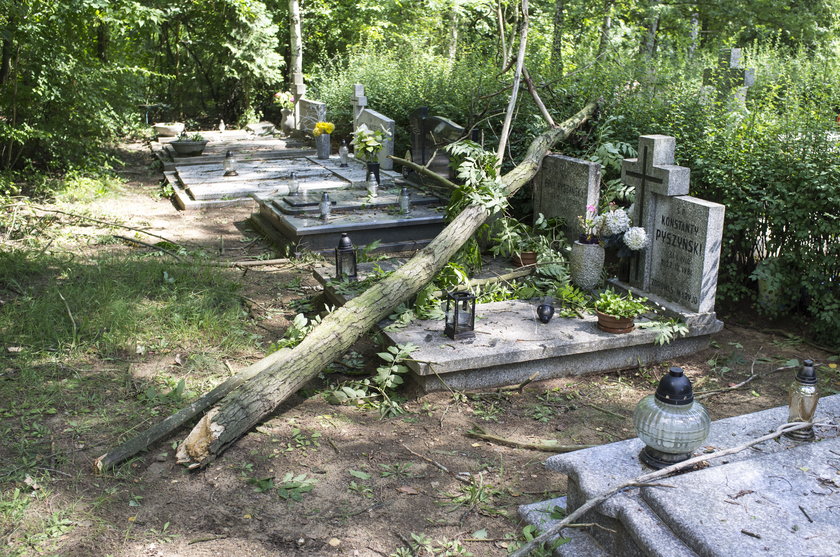 Wichura na cmentarzu