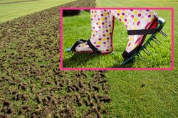 Wiosenna wertykulacja i aeracja trawnika. Jak i kiedy je wykonać?