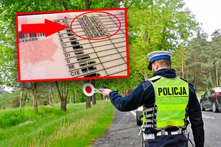 Krótsze prawa jazdy dla seniorów. Ministerstwo z jasnym stanowiskiem