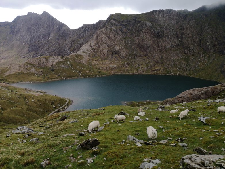 Snowdon