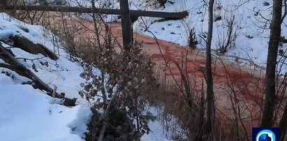 Wstrząsające odkrycie w Rosji. Woda w rzece zmieniła kolor. Wygląda jak krew!