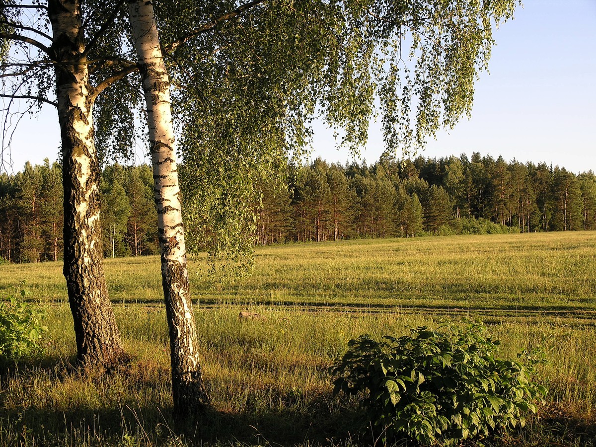 Gruntów prywatnych nie oddamy w użytkowanie wieczyste