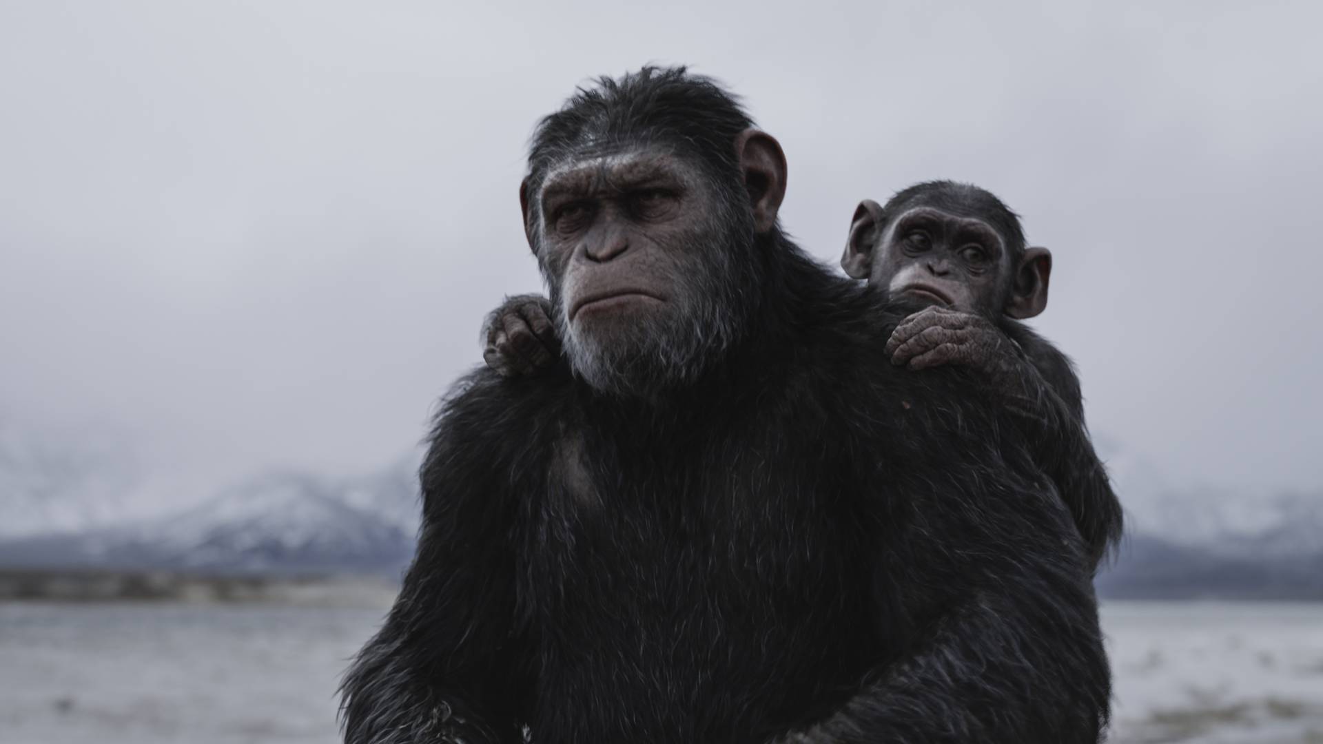 "Wojna o Planetę Małp" – film dla tych, którzy mają ochotę na zastrzyk emocji