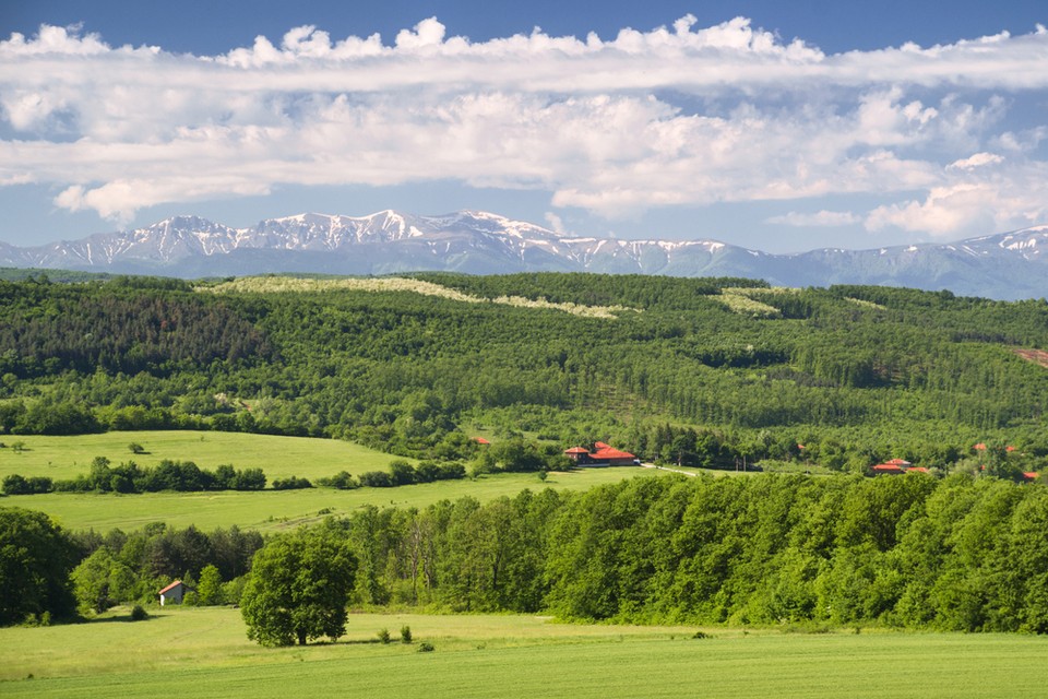 Bułgaria: średnia cena ziemi za hektar w 2012 roku - 2,8 tys. euro