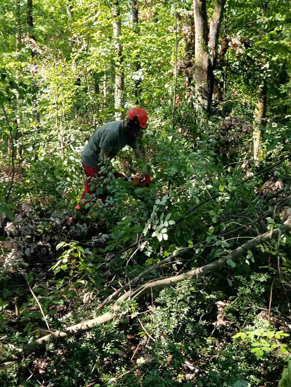 .